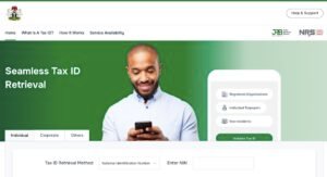 Nigerian Tax ID Portal